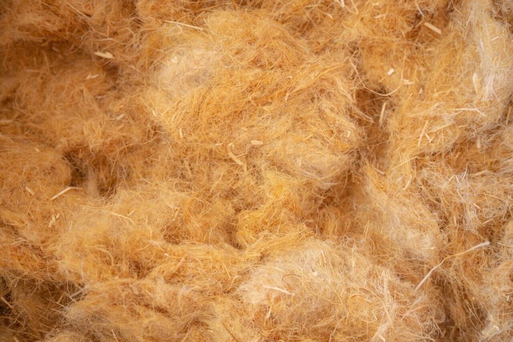 Fibre